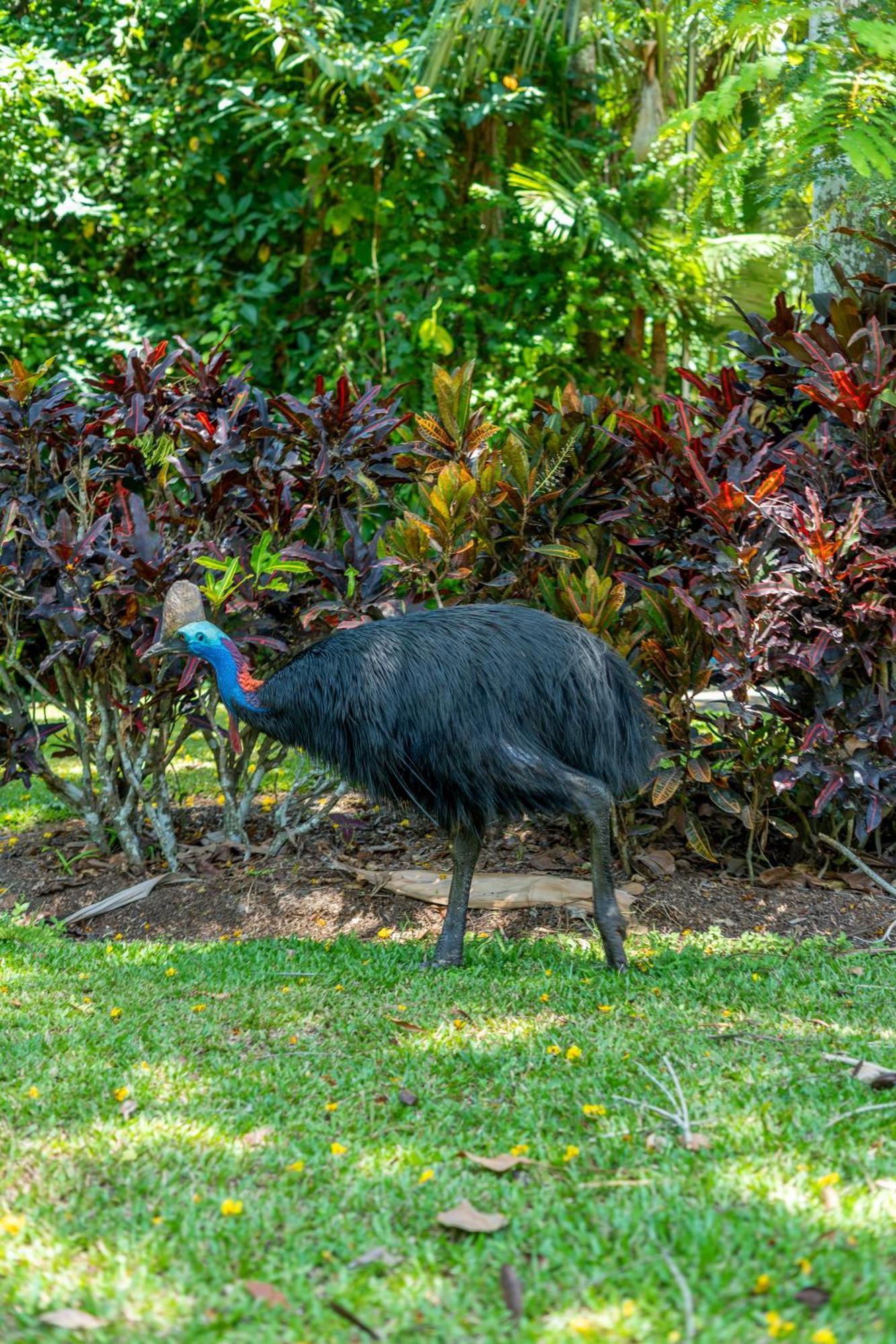 Big4 Tasman Holiday Parks - South Mission Beach Luaran gambar